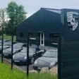 Photo de profil de King Auto 51