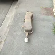 Photo de profil de Mattauto