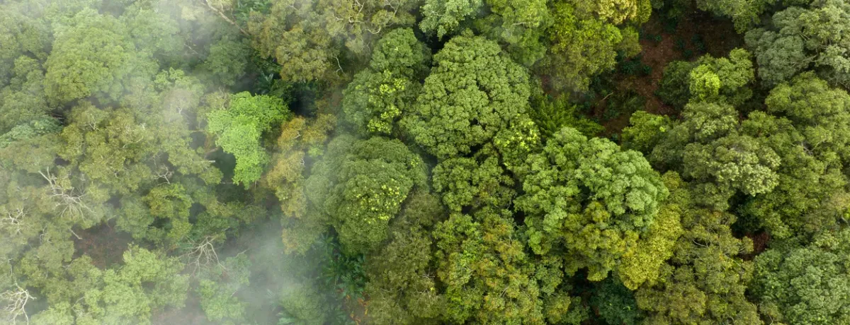 Contrôle technique pollution : Comment éviter une contre-visite pour émission excessive de CO2 ?