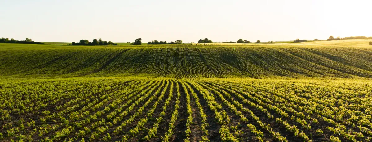 champs agricole conversion au bioéthanol : quels avantages et prix ?
