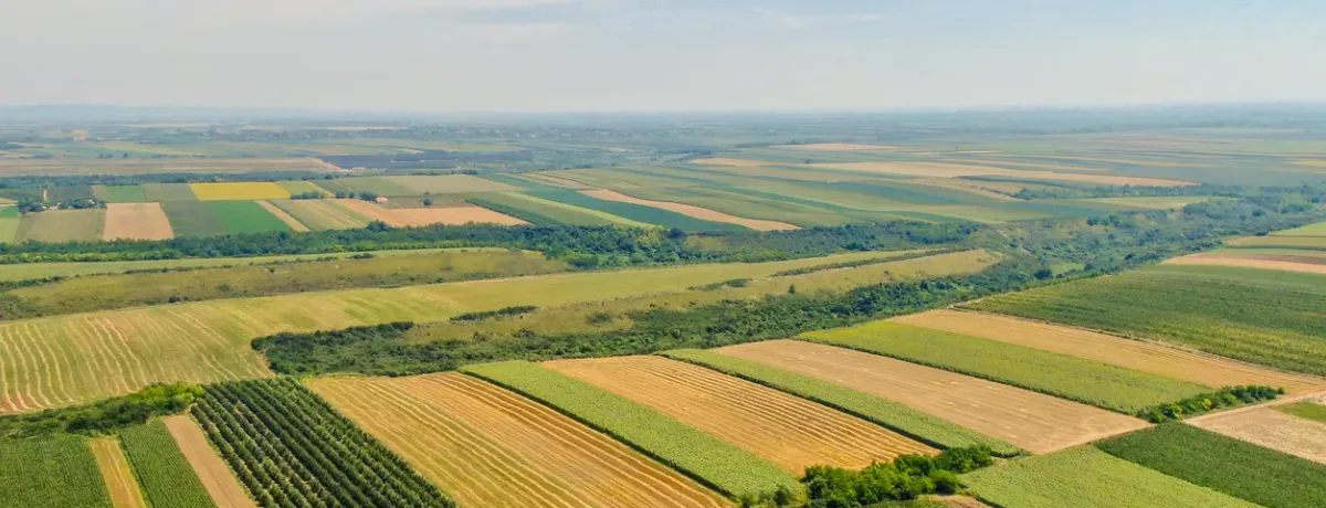 le bioéthanol, une alternative viable ? Possible chez ValueMyCar !