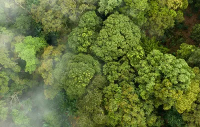 Contrôle technique pollution : Comment éviter une contre-visite pour émission excessive de CO2 ?