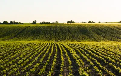 champs agricole conversion au bioéthanol : quels avantages et prix ?