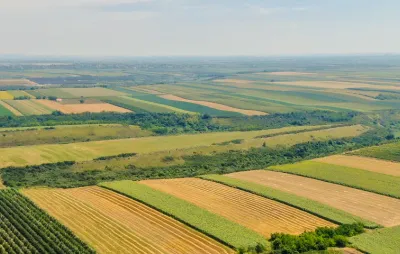 champs agricoles exploitation biologique bioéthanol