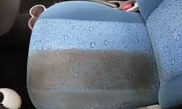 Voir l'image Detailing — Max Le Detailer — photo 1