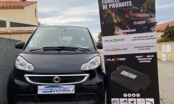 Voir l'image Conversion éthanol via boîtier eflexfuel — Philippe Giogli — photo 1
