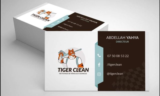 Nettoyage de véhicules professionnels et particuliers — Tiger clean — photo 1