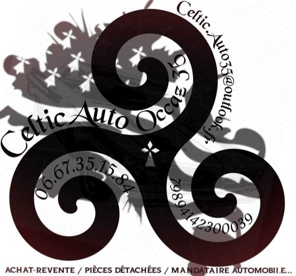 photo de profil de Celtic auto 35