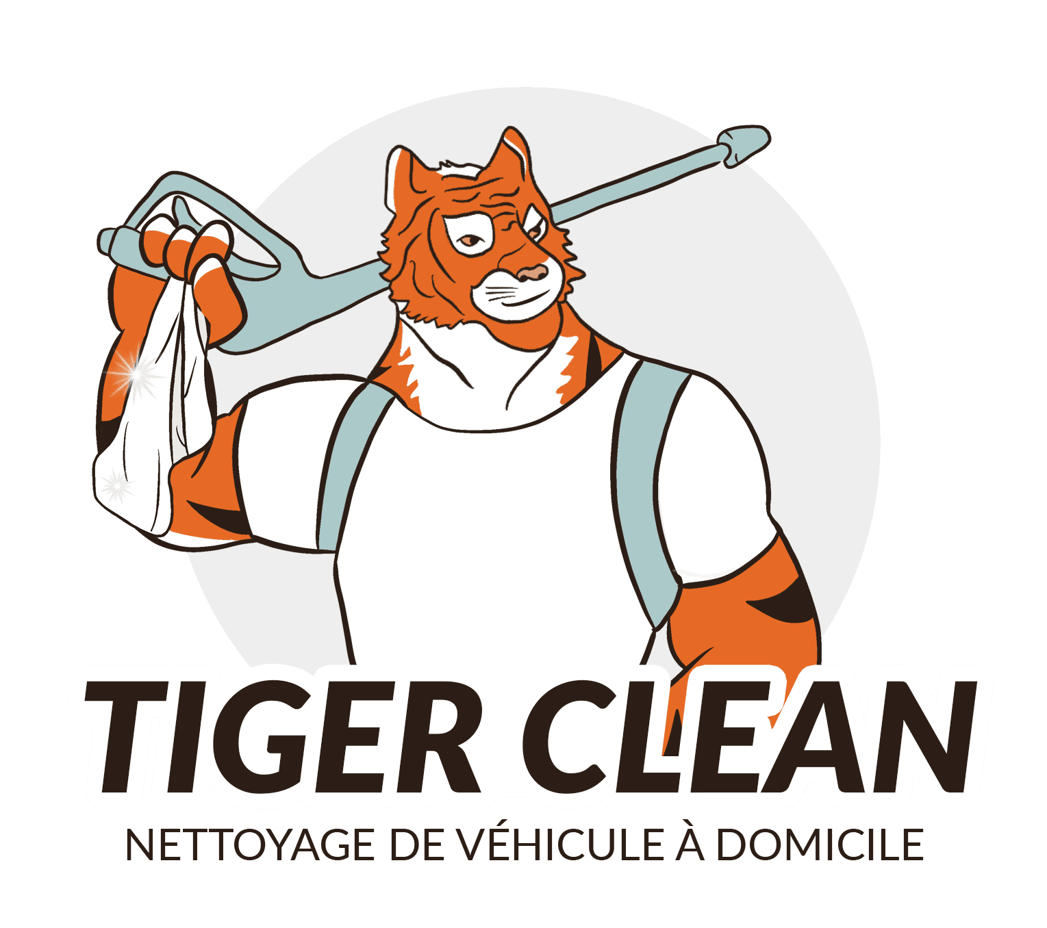 photo de profil de Tiger clean