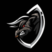 photo de profil de Bulls Motorsports